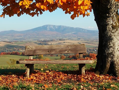 A wooden bench beneath a vibrant tree overlooking distant mountains