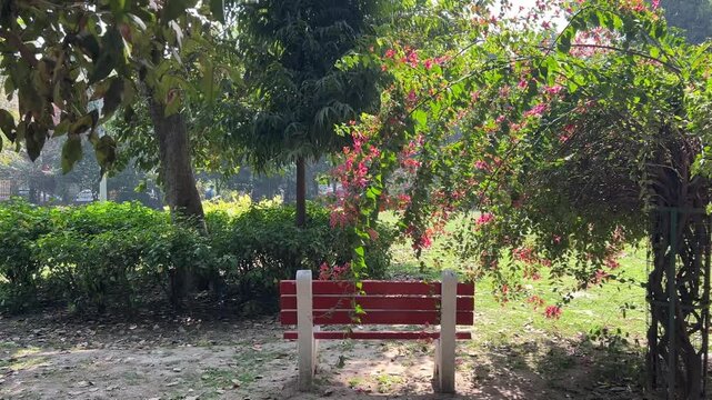 Wooden bench and flowering lush vegetation in Picnic hut Park in Ashok Vihar, India on a sunny day