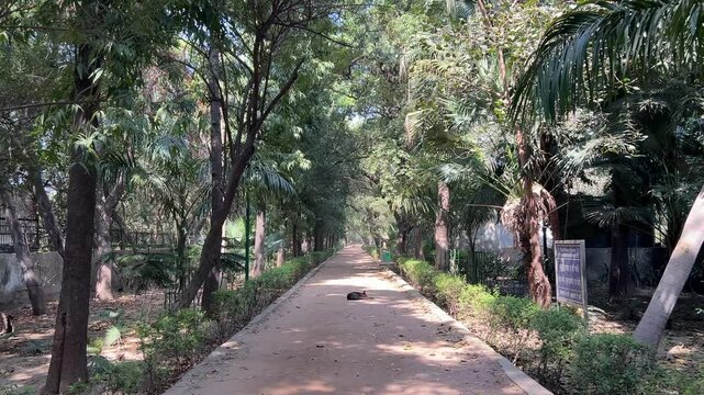 Walkway passing through green vegetation in Picnic hut Park in Ashok Vihar, India on a sunny day