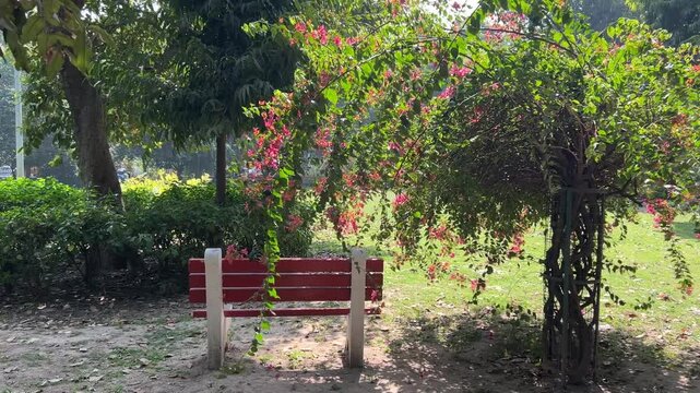 Wooden bench and flowering lush vegetation in Picnic hut Park in Ashok Vihar, Delhi, India