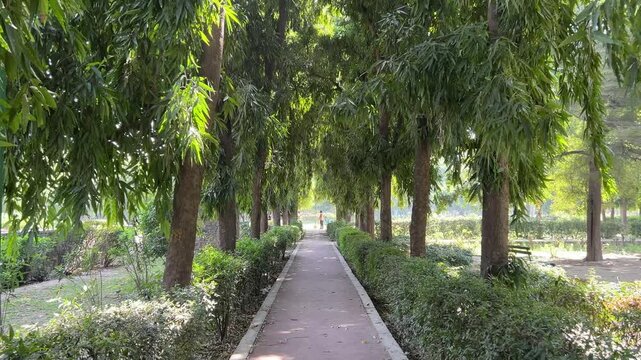 Narrow walkway passing through green vegetation in Picnic hut Park in Ashok Vihar, Delhi, India