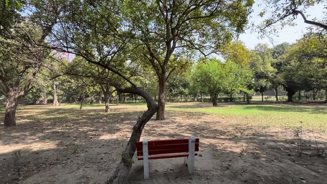 Wooden bench under a green-leafed tree in Picnic hut Park in Ashok Vihar, India on a sunny day