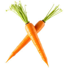 Two vibrant orange carrots are crossed at their tops, showcasing their green leafy tops and tapered roots.