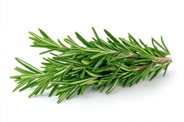 A branch of fresh rosemary with vibrant green leaves against a rustic wooden background.