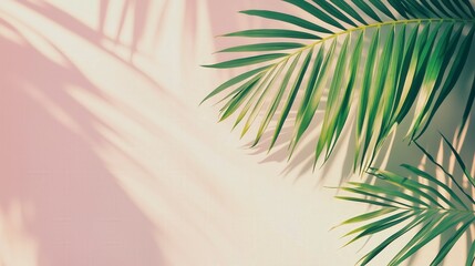 Vibrant green palm leaves casting elegant shadows on a pastel-colored background, tropical summer minimal aesthetic for fresh modern designs