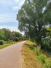 A brick path winds through a beautiful park with trees on both sides