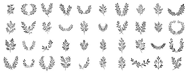 collection of hand drawn botanical branches and leaf elements in delicate decorative style