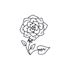 Hand drawn black and white outlined doodle rose flower. Simple monochrome floral sketch. Abstract botanical element.