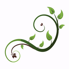 elegant vine curve forming a subtle wave