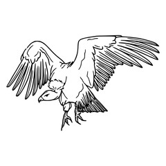 scavenger bird outline graphic