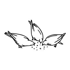 hand drawn vector illustration of a feeding dove