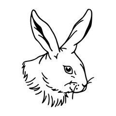 bunny face outline graphic