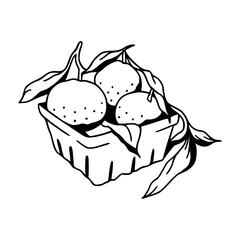 fruit basket with oranges vector design