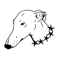 greyhound head with star collar vector