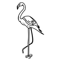 vector illustration of a flamingo