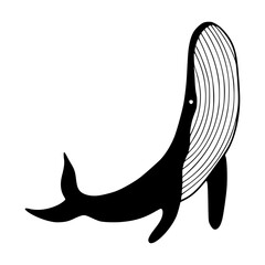 elegant whale vector illustration