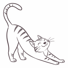 happy cat kitten stretching draw line