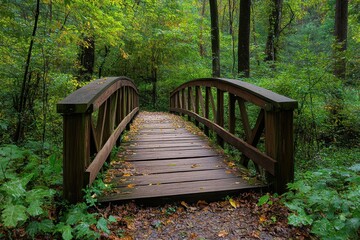 Fototapeta premium Wooden bridge crossing a small stream in a lush green forest