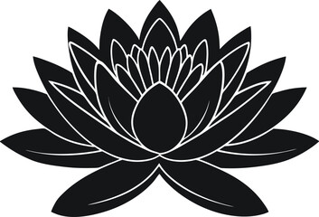water-lily  vector illustration