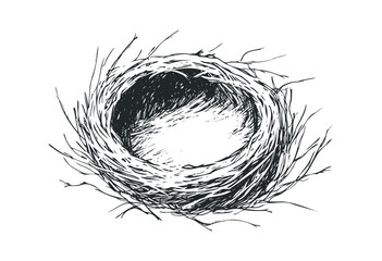 Detailed drawing of a bird's nest with twigs and branches. Vector retro hand drawn illustration