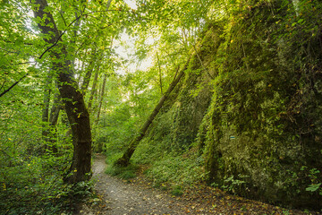 path in a deciduous forest with a picturesque rock formation