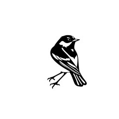 Monochrome Vector Illustration of a Bird in Profile, Standing on a Branch with Bold Black and White Contrasts.