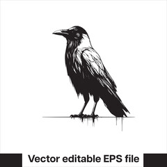 Western Raven vector with hat, logo