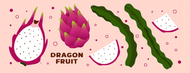 Dragon fruit set vector illustration