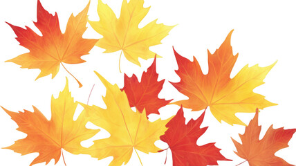 maple leaves
