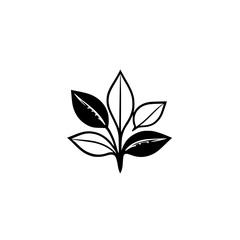 Minimalist Black and White Plant Graphic with Five Leaves, Perfect for Logos, Branding, or Decorative Elements on White Background.