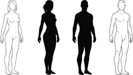 Black and white silhouette of two male and two female figures, one filled and one outlined per gender, anatomical study, vector art"