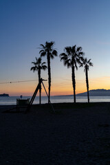 Silhouetted palm trees stand tall against a vibrant sunset on a tranquil beach with ocean views. © Fernando