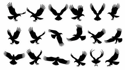 Eagle vector illustration set black and white silhouettes collection of 30 different eagle poses perfect for logos designs and more concept as Comprehensive set of 30 black and white eagle vector silh