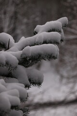 hiver 2024 Normandie