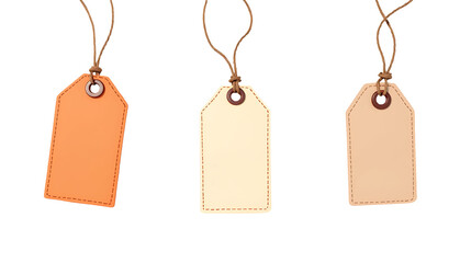 Three hanging tags in varying colors, each with a hole for attachment, showcasing a simple, minimalist design.