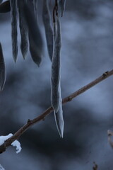 hiver 2024 Normandie