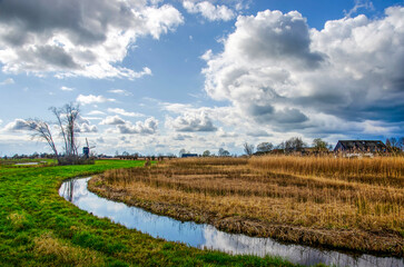 Polder landscape near Hoornaar, The Netherlands, with grass, a hiking trail, reeds lands and a windmill