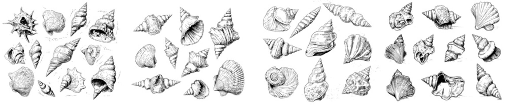 A set of sea shells is sketched, featuring black doodle seashell silhouettes isolated on a white background, creating a modern ocean life hand-drawn illustration