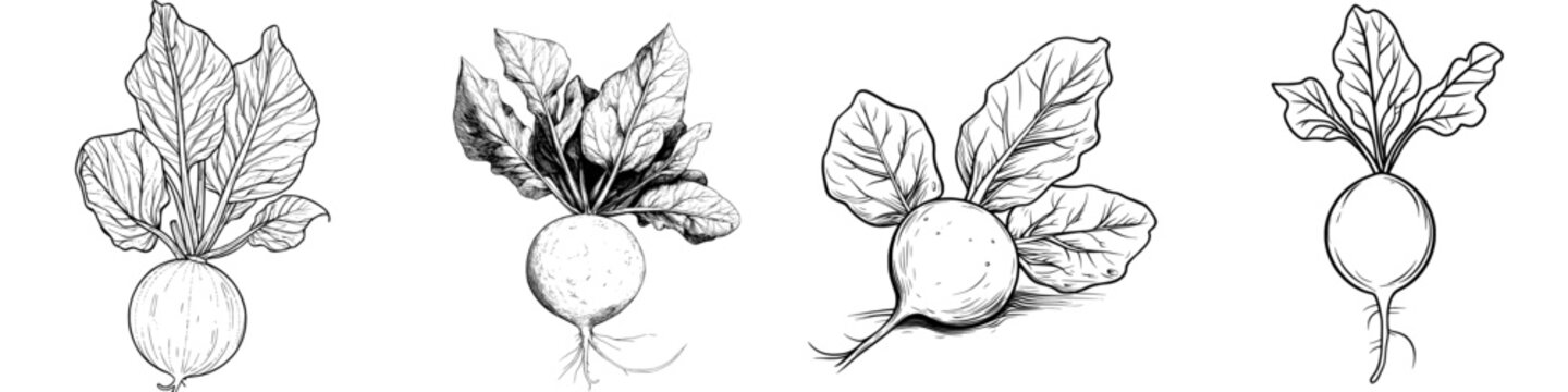 A modern, hand-drawn outline of a beet in doodle form, serving as an icon for food-related illustrations suitable for various mediums