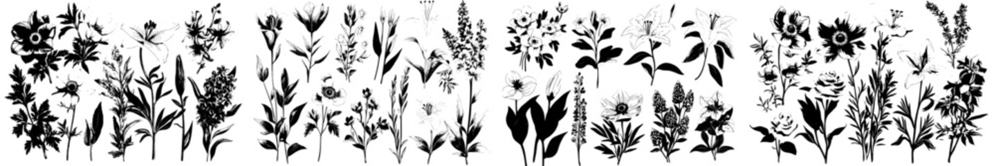 A contemporary collection of hand-drawn, colored illustrations features anemone, lavender, rosemary, everlasting, phalaenopsis, lily, and iris