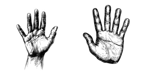 A hand-drawn black and white image in a modern illustration style, resembling a sketch engraving, is used for a T-shirt apparel print design, with a scratch board imitation effect