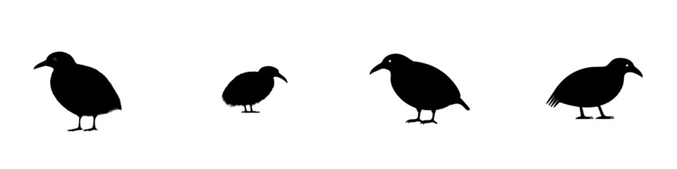 A modern kiwi bird is depicted in black silhouette, set against a white background