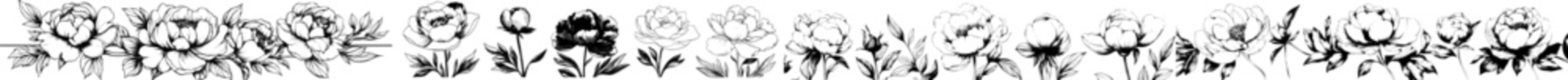A collection of monochrome peony flowers, hand drawn in a graphical style, is isolated on a white background as a modern