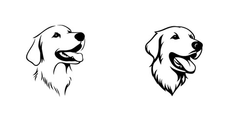 Golden Retriever. Content Golden Retriever with tongue out, dog expression