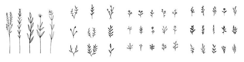 Set of modern hand-drawn botanical leaf