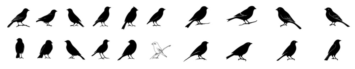 Illustration of birds in different positions. Bird perched on a branch, sketched by hand in black on a white background. Animal silhouette