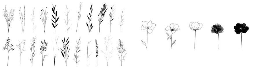 A collection of autumn botanical line drawings, featuring hand-drawn fall flowers in modern illustration style