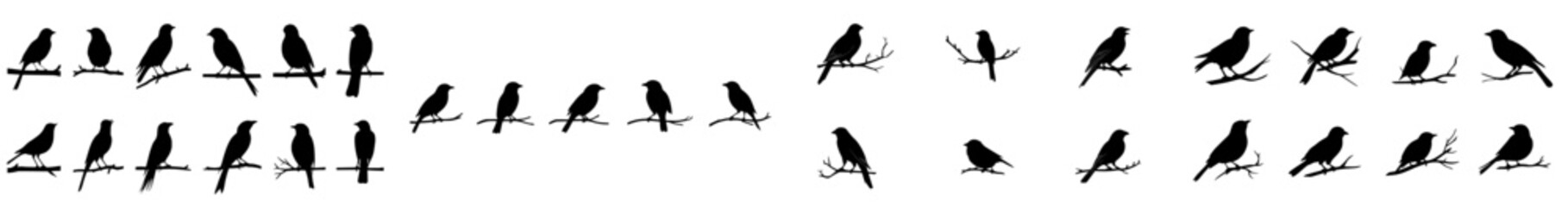 Icons of songbirds sitting on tree branches. Various types of songbird silhouettes. Representing nature and serenity. Signaling the freedom and balance of wild life. A modern, black and white, © Andrei