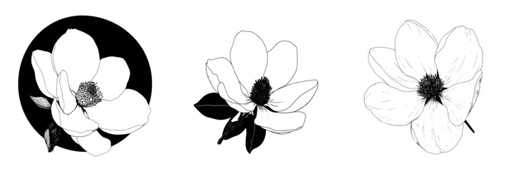 A black and white engraving illustration of a magnolia flower on a blooming branch can be used as a tattoo sketch, print, or ink cut out
