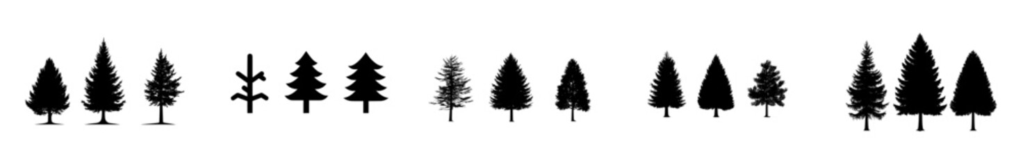 Pine tree silhouette © Andrei